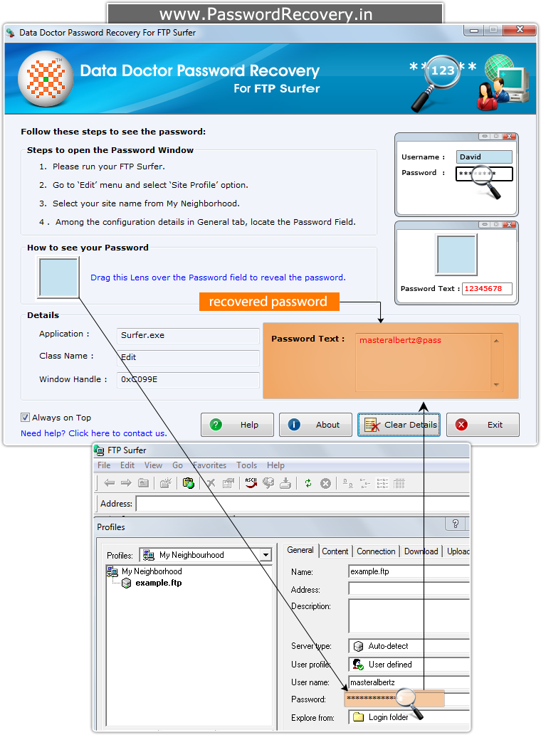 Password Recovery For FTP Surfer